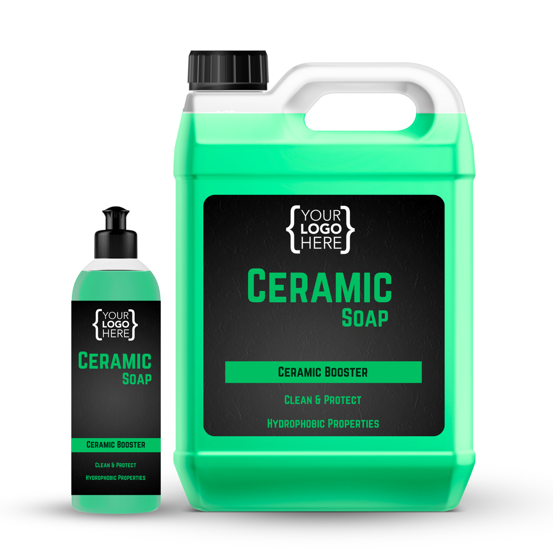 Ceramic Soap